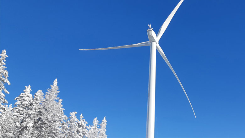 Wind turbines in cold climates