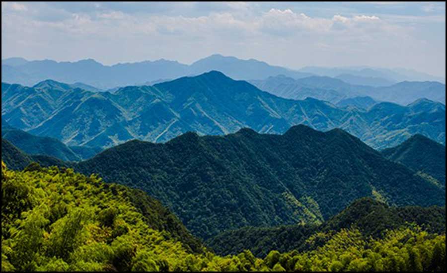 Aerial shot of the forest areas in Dali Prefecture, Yunnan Province